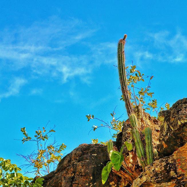 Pousada Chapada Das Mesas Riachao  Екстер'єр фото